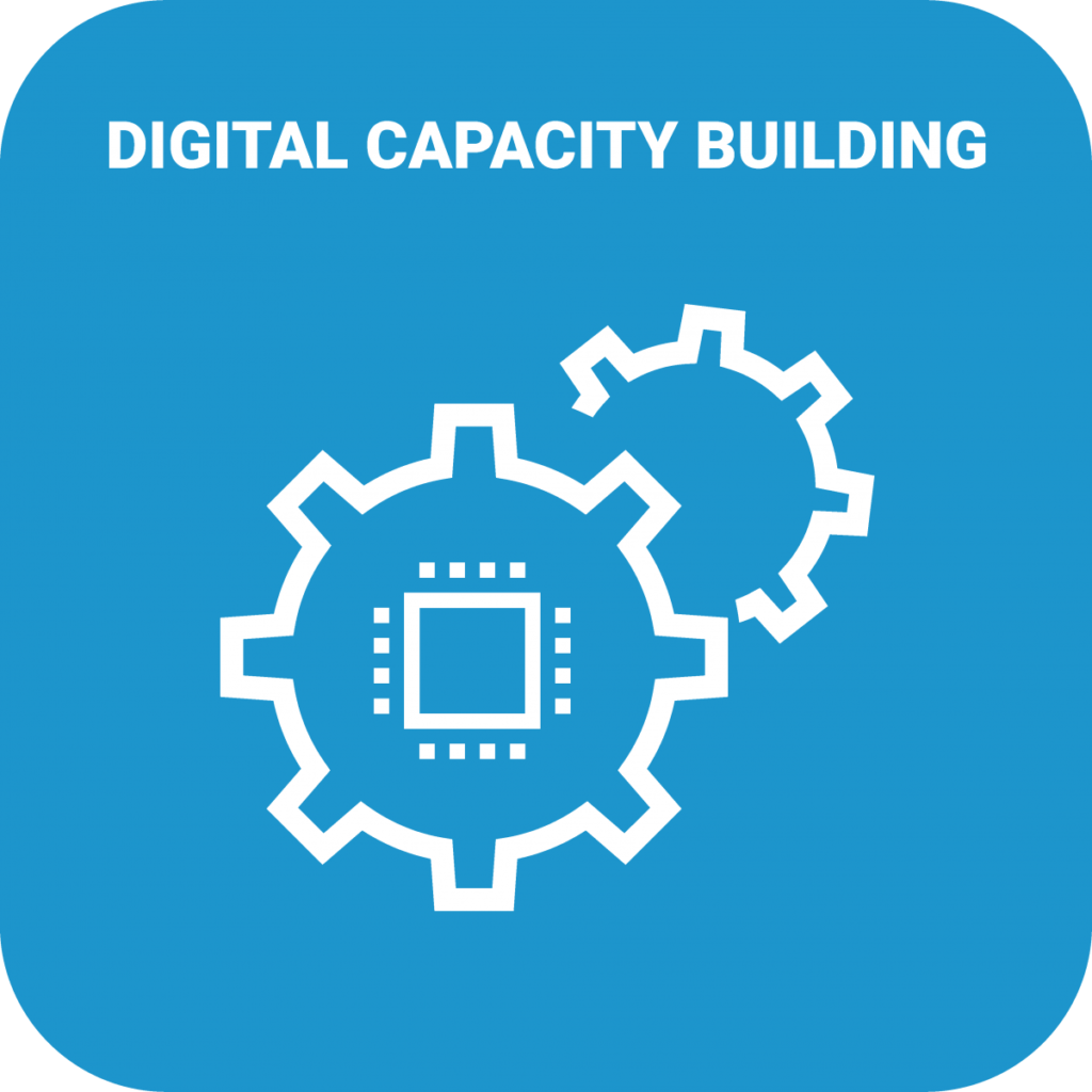Digital Capacity Building Icon
